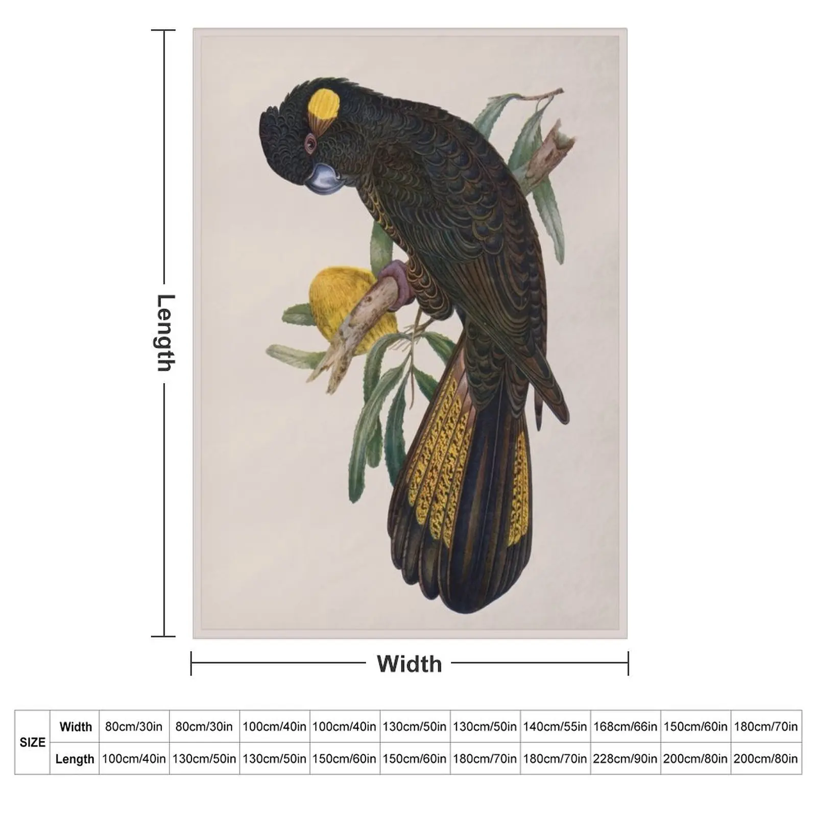 Yellow Tailed Black Cockatoo (Zanda funerea) Throw Blanket couch cozy soft plush fuzzy picnic outdoor blanket