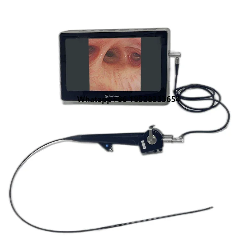 

High Quality Veterinary Portable Endoscope System 12 Inch HD Veterinary Flexible Bronchoscope