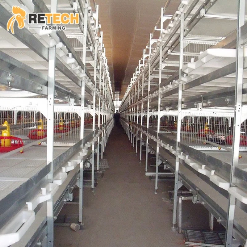 تصميم سقيفة مزرعة الدواجن، نظام تغذية معدات قفص اللاحم المريحة