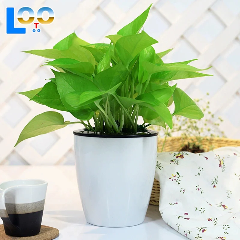 أصيص زهور متعدد المقاسات داخلي أوتوماتيكي لشفط الزهور وعاء عتبة النافذة