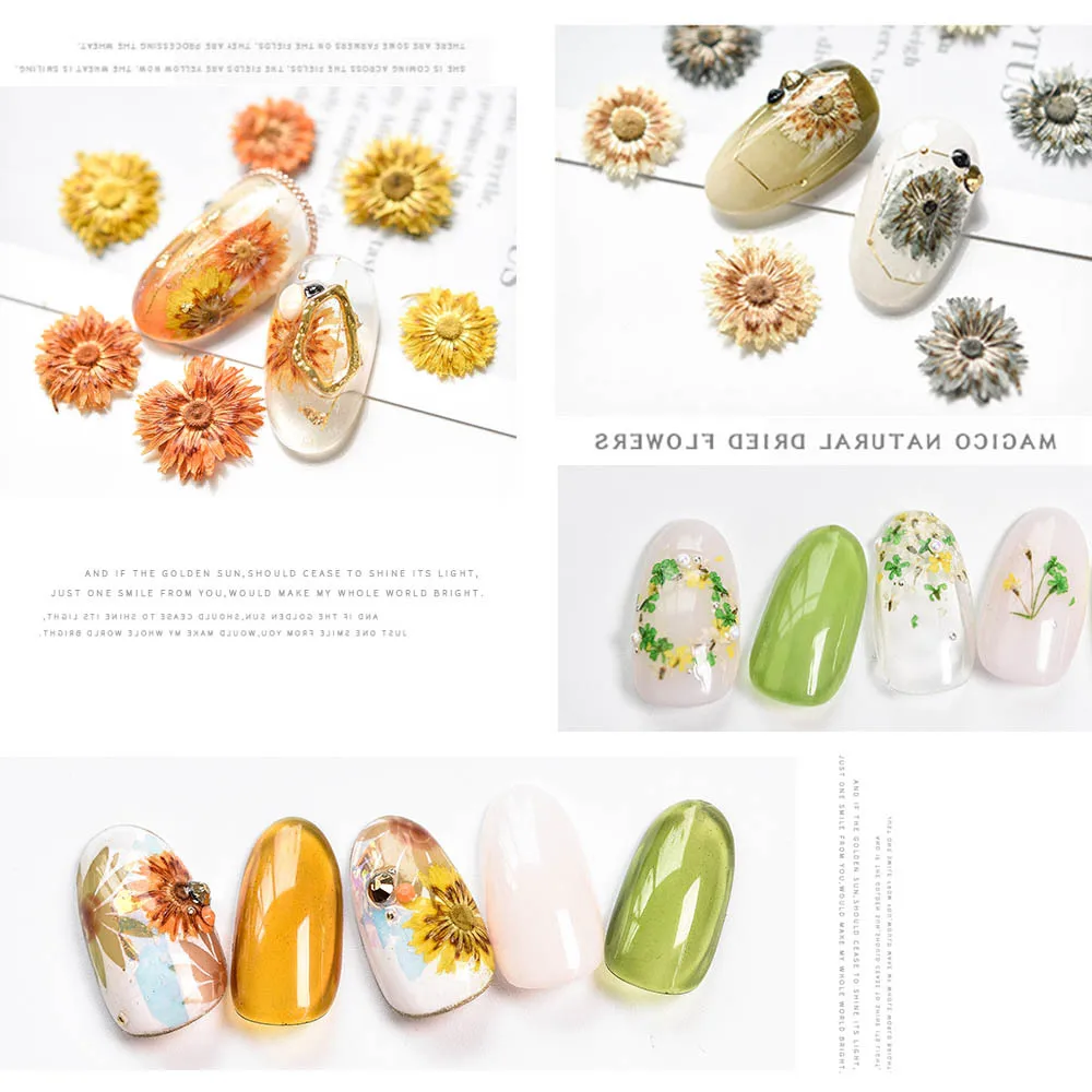 Mini Dried Flower Material Package 12 Color Hydrangea Daffodils Small Daisy Manicure Stickers Japanese