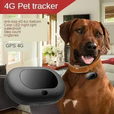 Rastreador de mascotas 4G LTE 2G GSM, el mejor localizador de perros con aplicación gratuita, Mini GPS, dispositivo de seguimiento de mascotas,