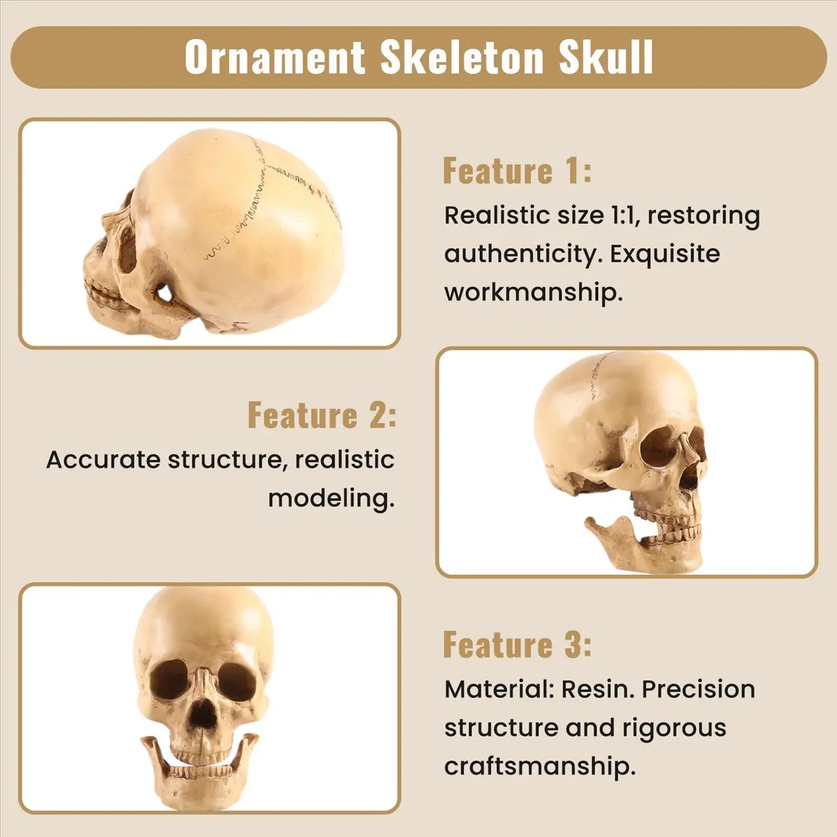 Model 1: 1 Resin Human Skull Anatomical Teaching Decoration Yellow-A07G