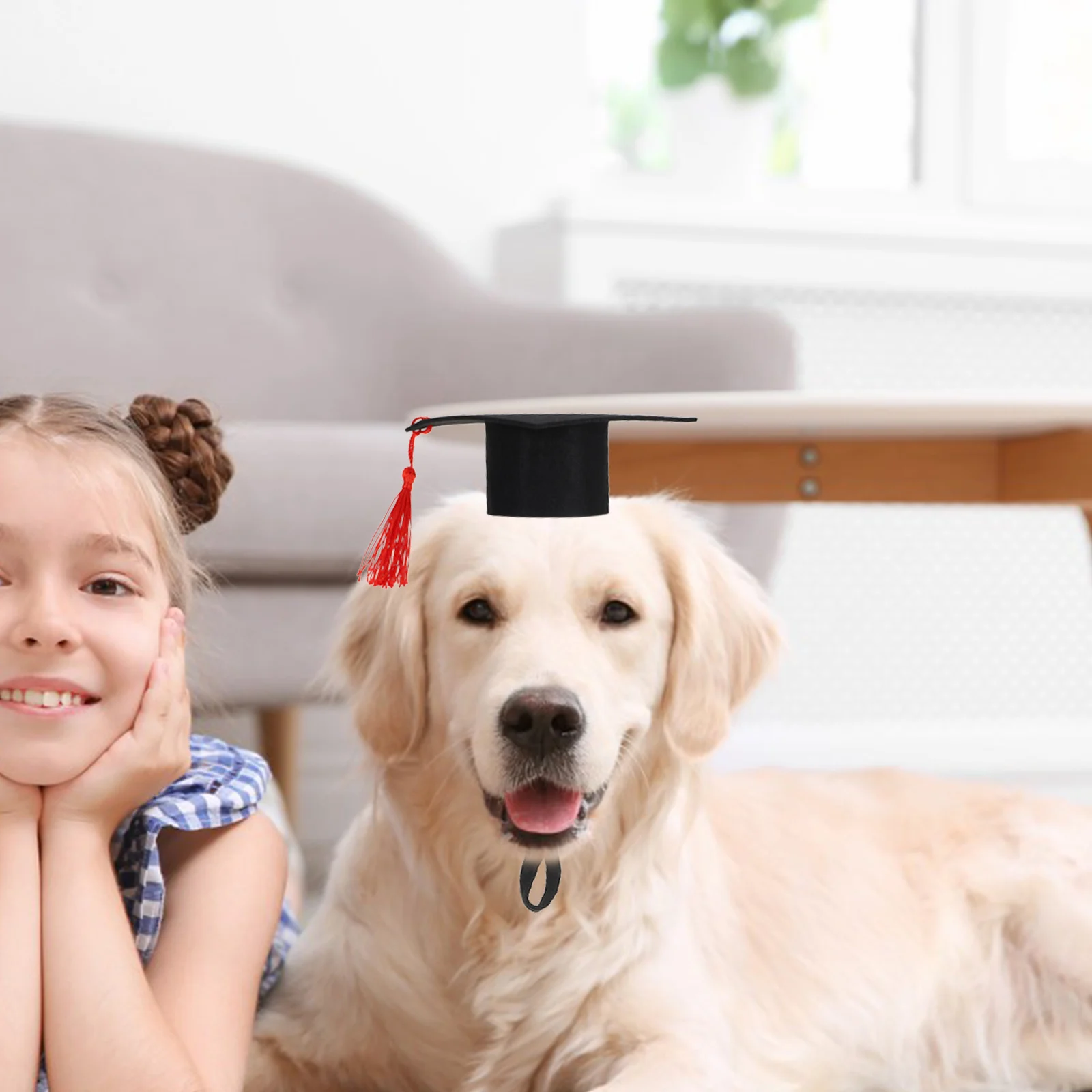 

Small Pet Graduation Cap Adjustable Hamster Hat Costume Size L Lightweight Tassel Photo Prop Hat for Hamsters Guinea Pigs