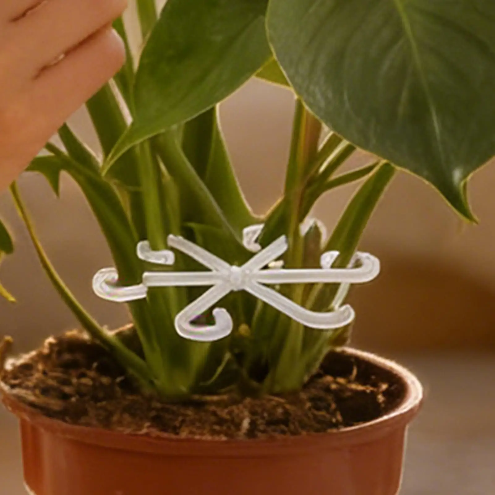 Plant Stake 4Pieces Adjustable Reusable Holder Protective Plant Stabilizers Monstera Support For Outdoor Home Greenhouse Orchids