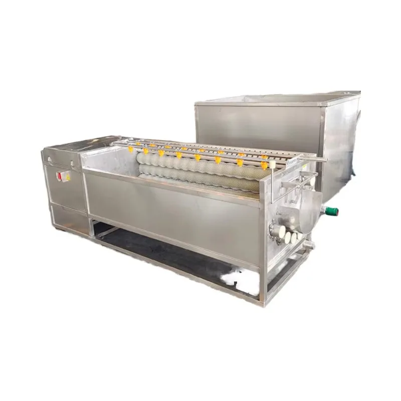 

Hot Sales Automatic Fruit & Vegetable Washing Equipment Hair Roller Cleaning and Peeling Machine for Nuts