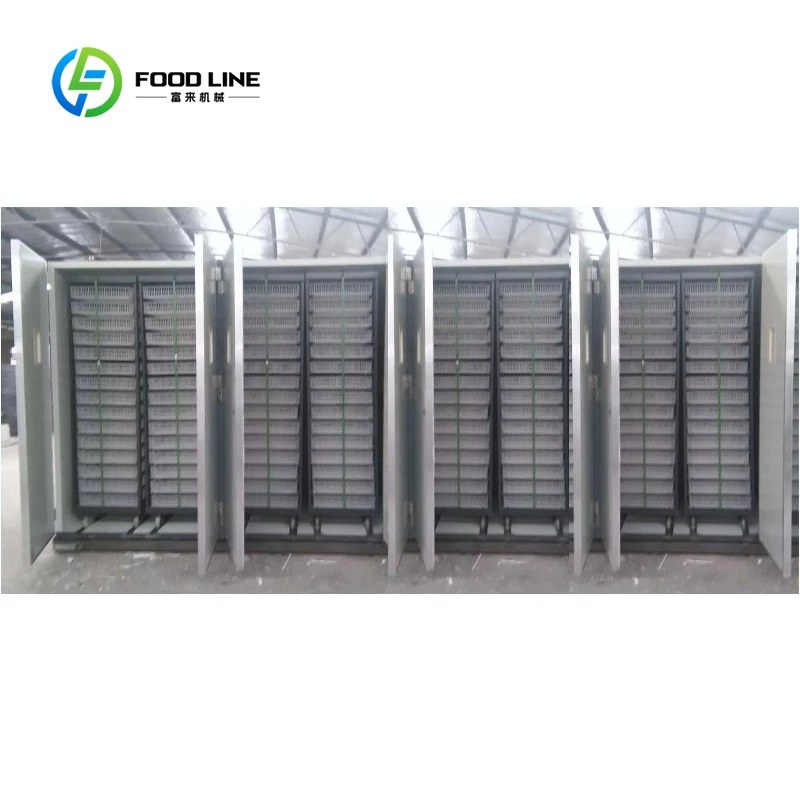 Customized 50688 Eggs Early Stage Chicken Egg Incubator Automatic Temperature Control Incubation Machine