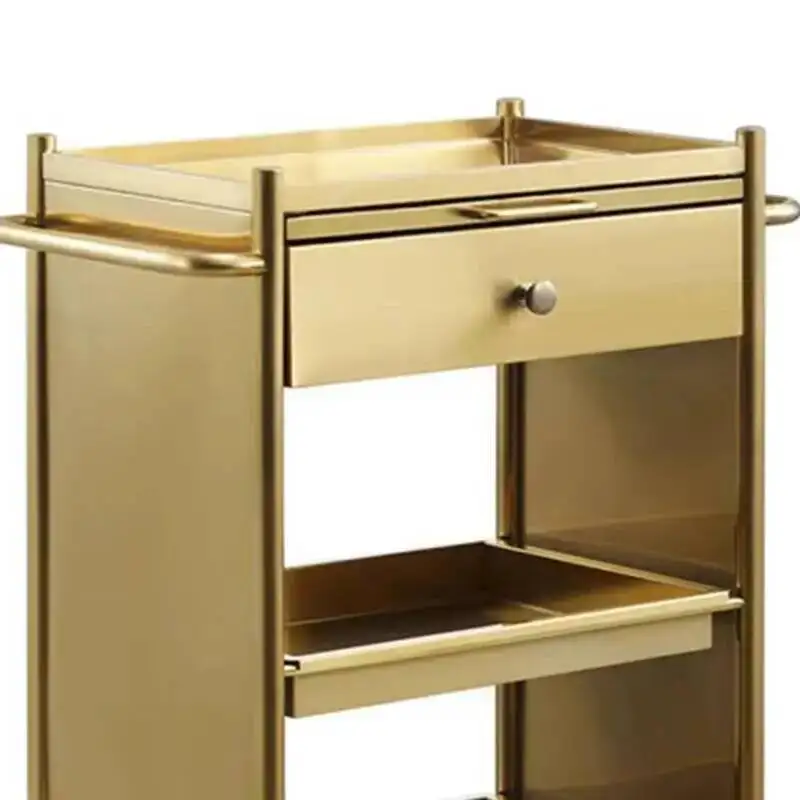 

Beauty Salon Trolley Stainless Metal Hospitality Designer Salon Trolley Manicure Carrito De Bar Multifuncional Furniture Fg19