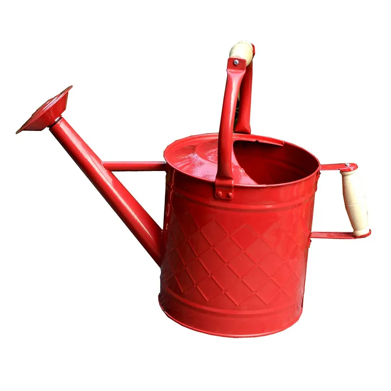 Dual-purpose iron watering kettle Watering flowers Household vegetable growing flowers Large watering pot Large capacity
