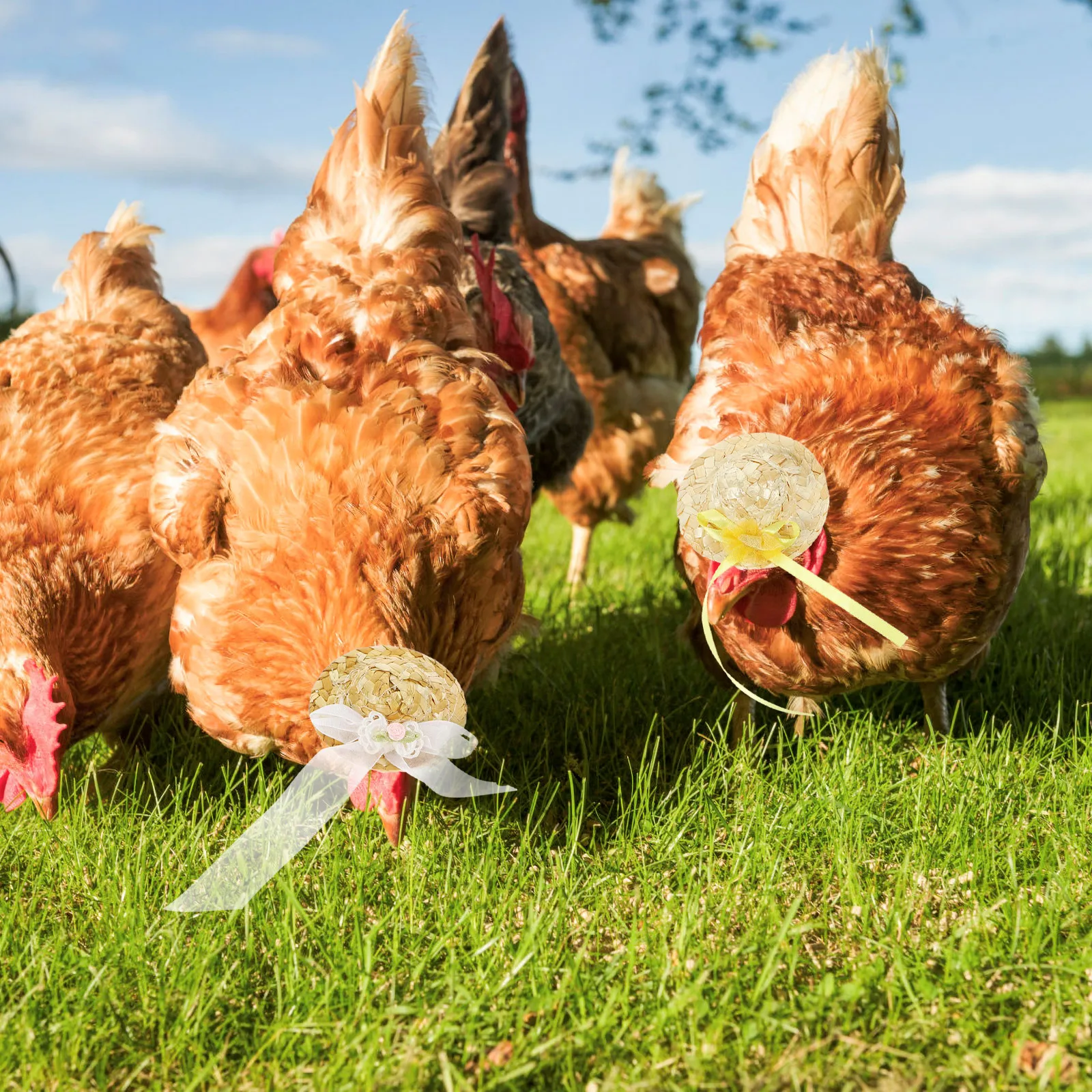 

2Pcs Adjustable Chicken Hats Mini Hen Hats Decorative Bird Hat Party Supplies Comfortable Cloth Hen Accessory Photo Prop