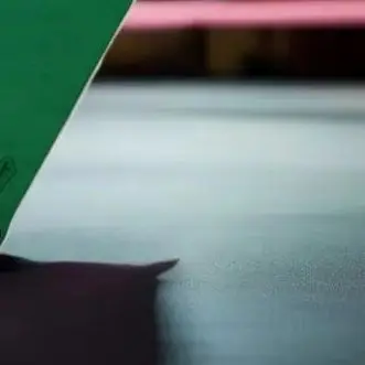 43CM Guanti elastici per unghie lunghe con artiglio spaventoso da donna Guanti con artigli fantasma del diavolo di Halloween Costume da spettacolo cosplay per feste