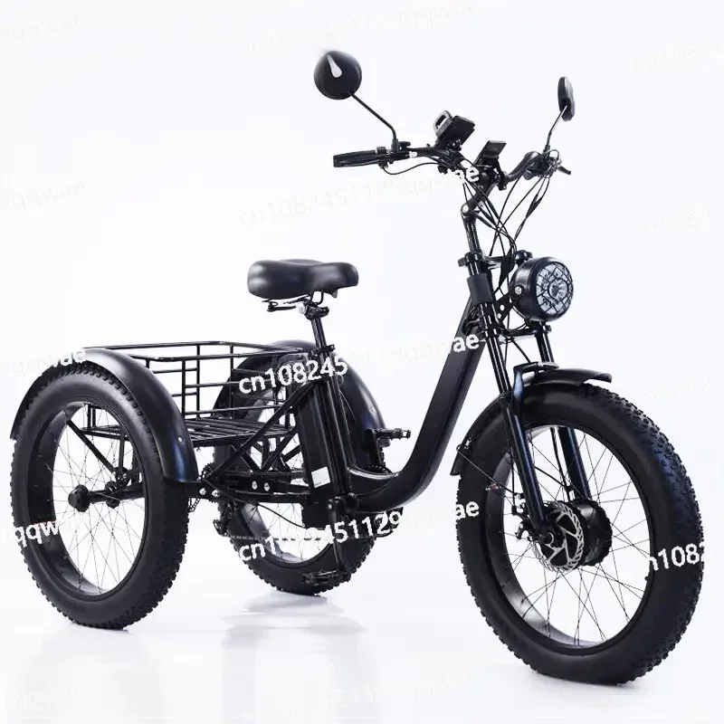 750W 48V 15AH 24 Inch Fatbike Electric Cargo Bike for Adults Mountain Off Road Powerful Electric Tricycle with Removable Battery