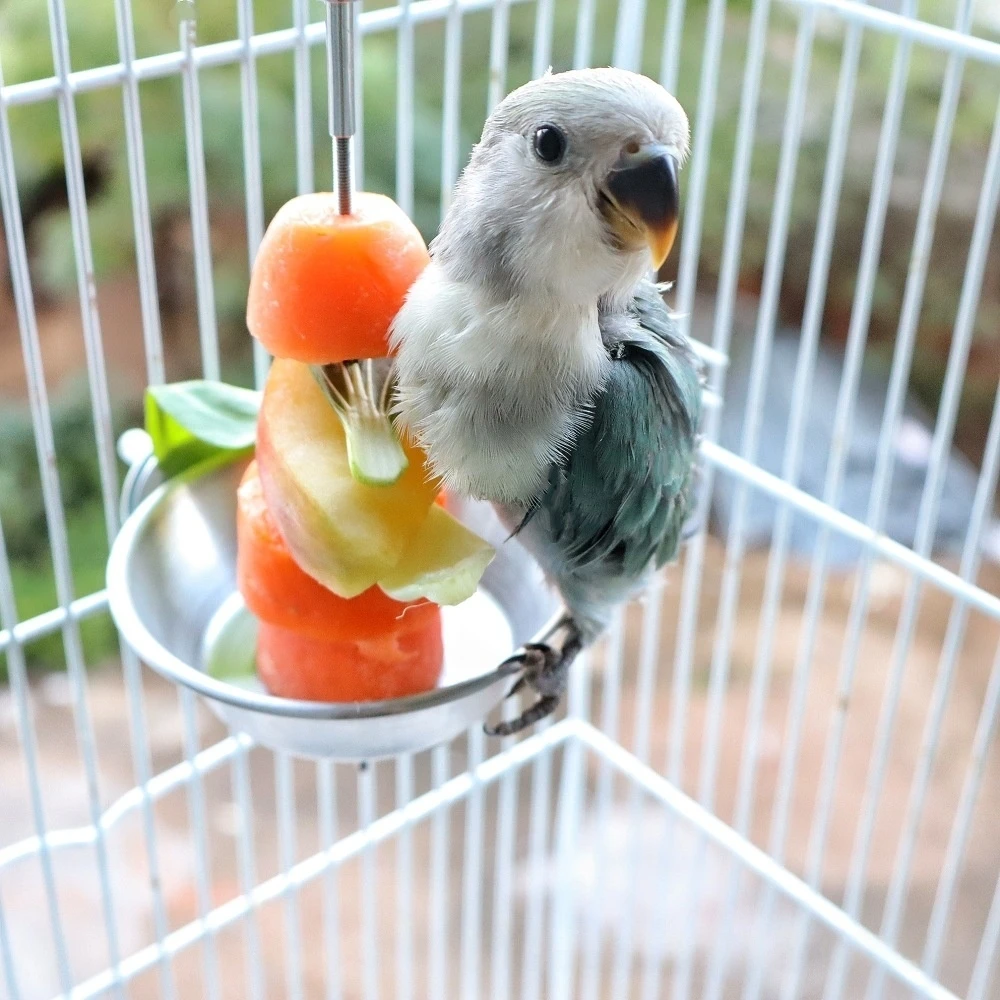 

Stainless Steel Parrot Feeder with Perch Bird Food Water feeder Cage Mounted Feeder for Parakeets Cockatiels Lovebirds Budgies