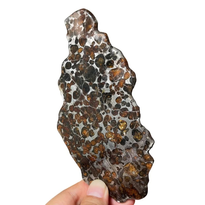 Premium Sericho Pallasite Meteorite Slice, Unique Space Stone with Dense Golden Olivine for Collection QA858