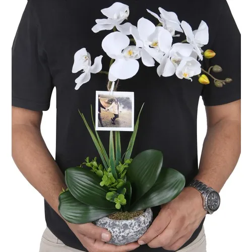 Elegant Series White Wet Orchid Artificial