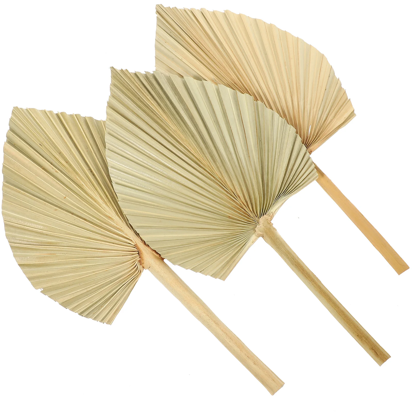 

Dried Palm Leaf Decorations Sunflower Fan Leaf Wedding Party Autumn Dry Palm Fronds Floral Arrangement Banquet Holiday Art
