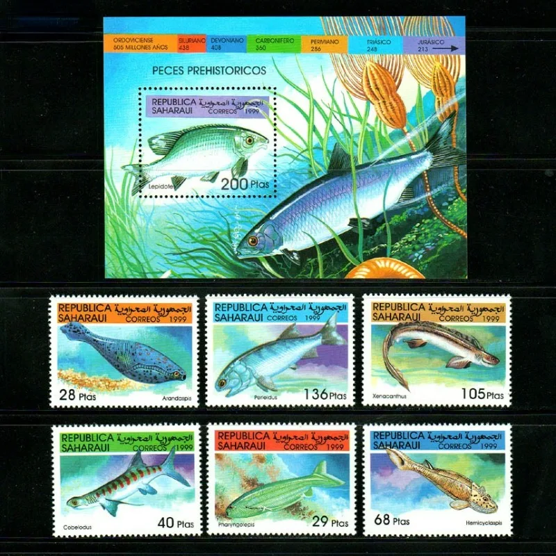 6 PCS+1, Sahara, 1999, Fish Stamps, Real Original Post Stamps, MNH