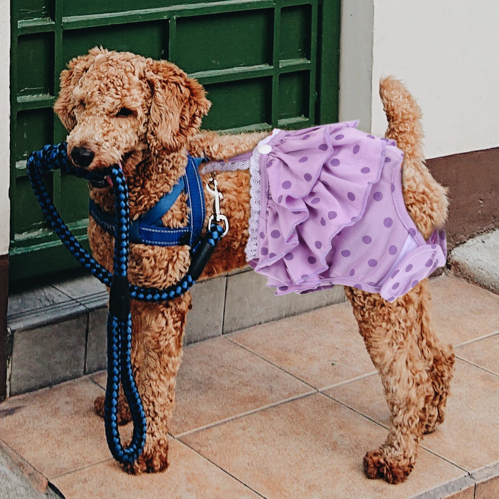 

1Pc Soft Cotton Pet Diapers Dog Menstruation Pants For Heat Support Protect Home Furnishings