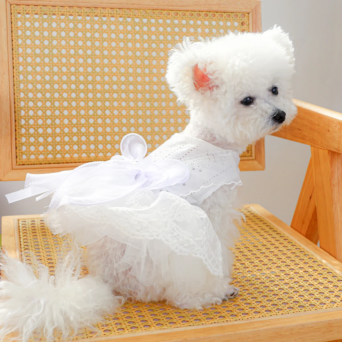 1PC Pet Clothing Cat and Dog Spring/Summer Thin White Wedding Princess Dress Suitable for Small and Medium sized Dogs