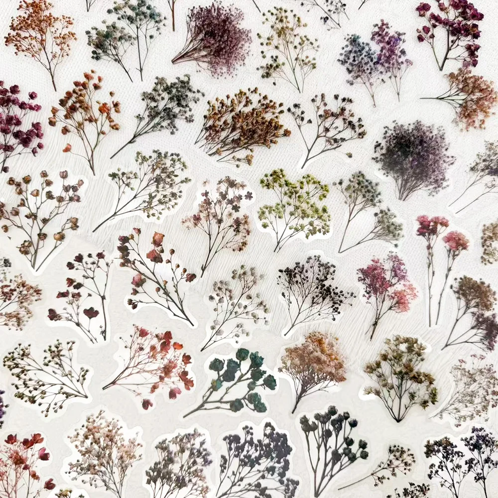 50 pegatinas vintage de Haworthia Minima para teléfono, portátil, cuaderno, refrigerador, guitarra, pegatinas transparentes DIY