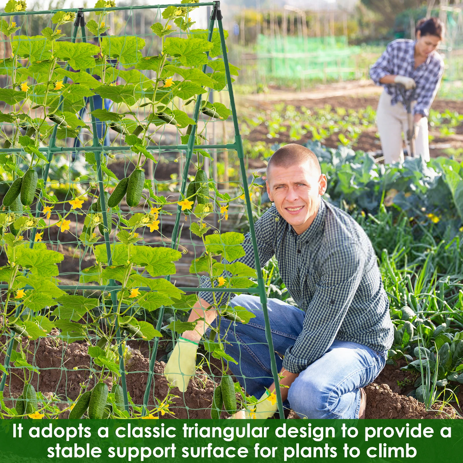 

8x1500mm Removable & Reusable Plastic Coated Steel Pipe Grow Supports for Cucumber Trellis Home Garden Outdoor Use H0983