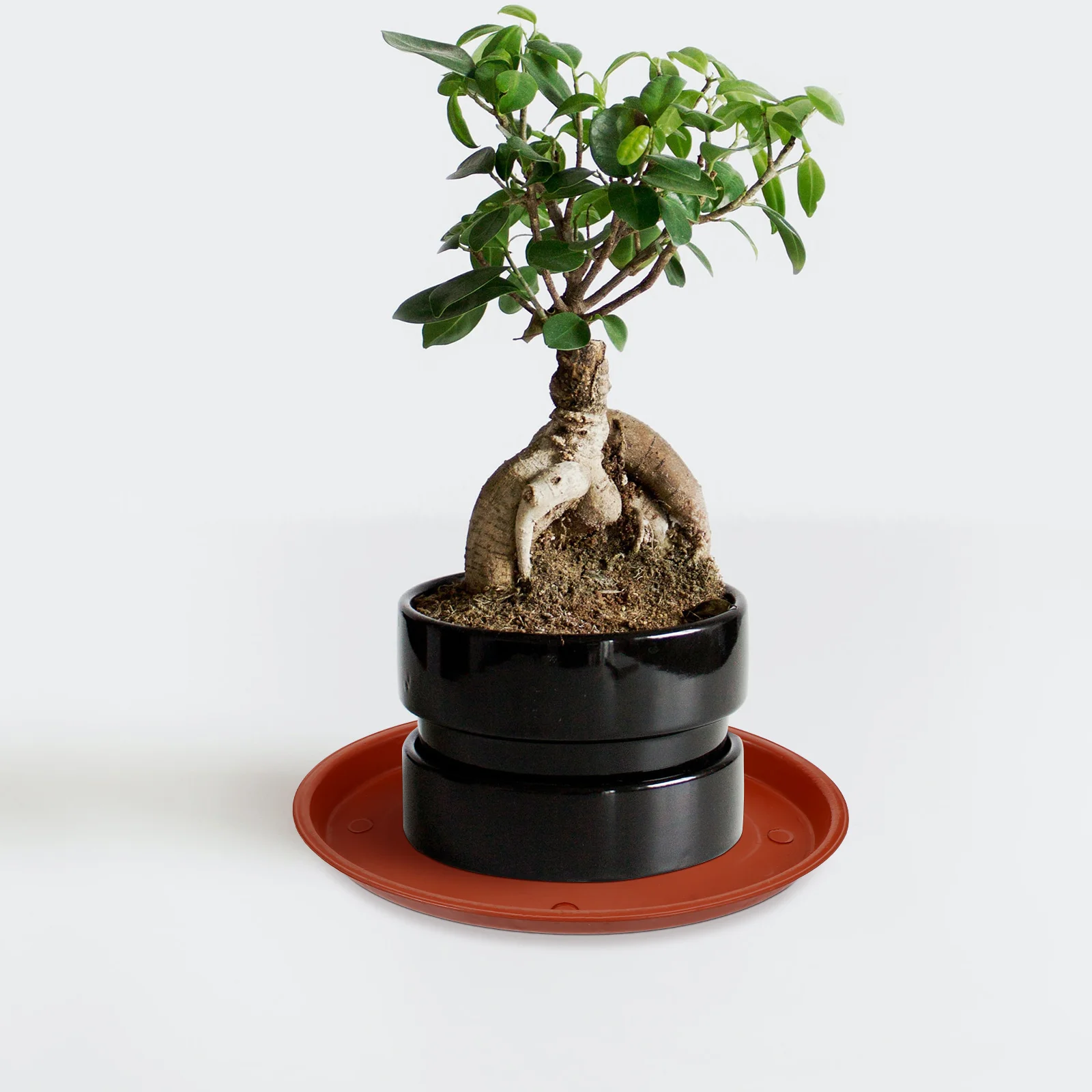 

5pcs Resin Flowerpot Tray Plastic Plant Pot Baseplates For Bonsai Oval Water Drip Plate Flower Pot Accessories Red