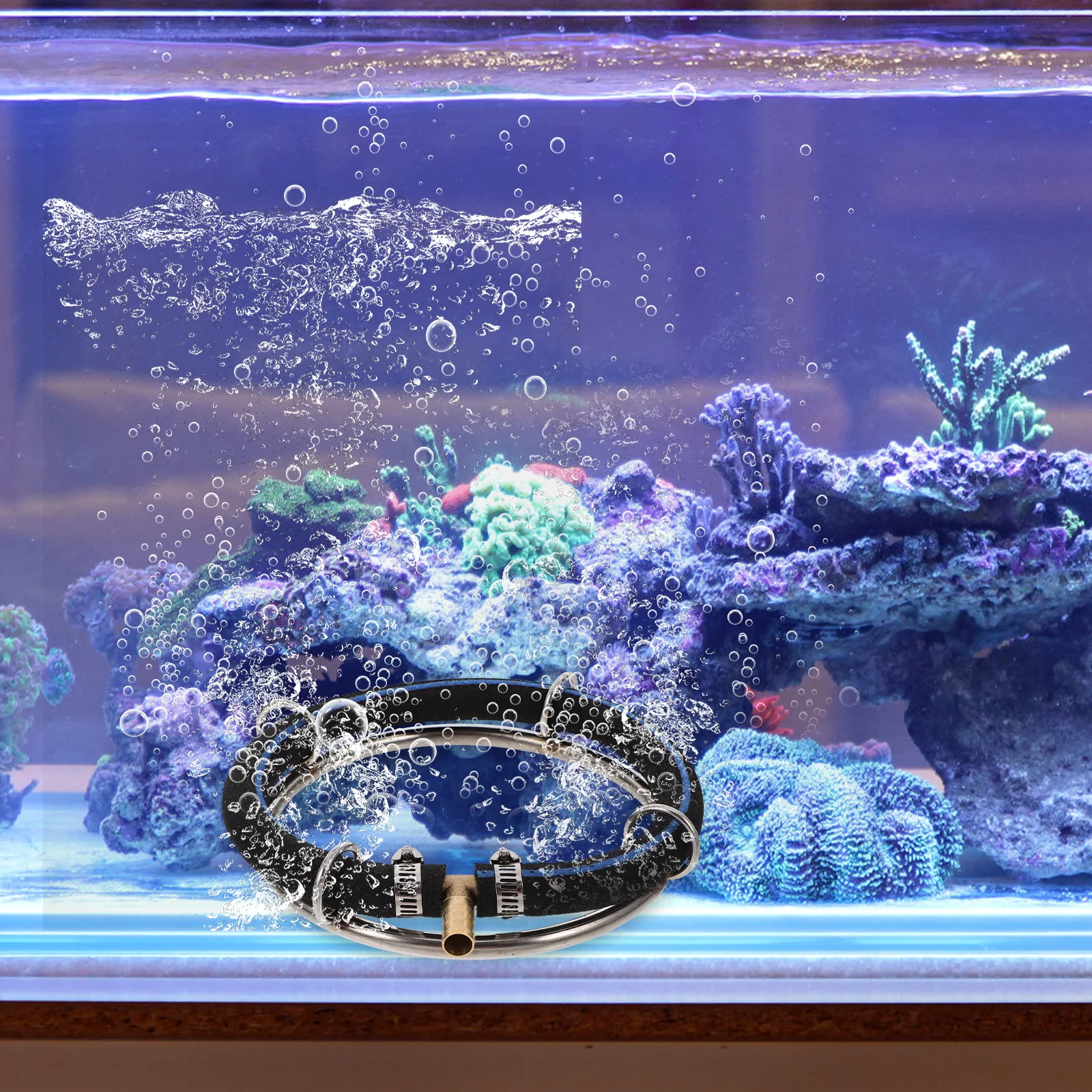 

Premium Stainless Steel Air Diffuser Ring for Fish Tank Pond Oxygenation Bubbler Water Quality Enhancement Airstone Technology