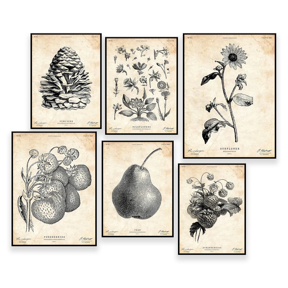 Floral ,Pinecone,Sequoia tree ,Wildflowers print, Lake house decor, Vintage flower print, Botanical wall art, Floral wall art