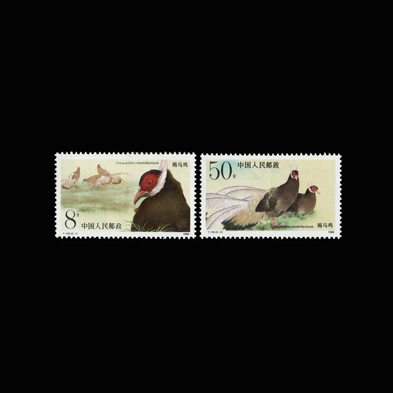 

Year 1989 Old Vintage China All New Postage Stamps Topic Birds Crossoptilon Mantchuricum For Collectoin