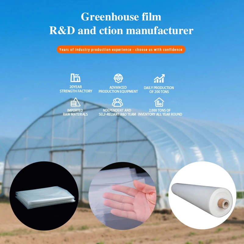 200 Micron PE Greenhouse Film UV Resistant Anti-Fog Double Layer Agricultural Plastic Cover for Flower Growing Shed