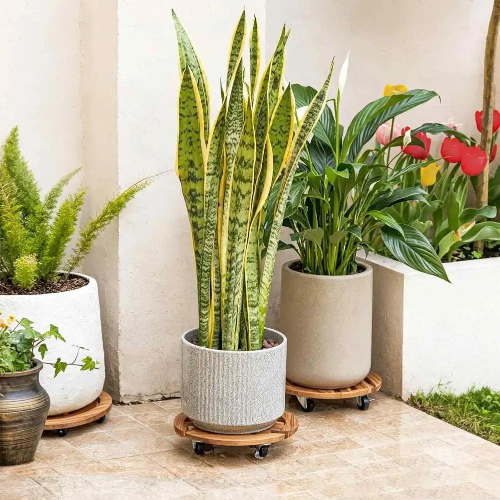 Rolling Plant Caddy for Heavy Pots Heavy Duty Planter Mover with Wheels Heavy Duty Round Wood Plant Caddy with Wheels for Indoor
