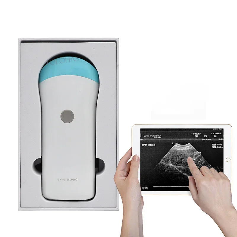 LHWZV80 Veterinary Ultrasound Scan Probe Wireless Ultrasound Probe fast shipping