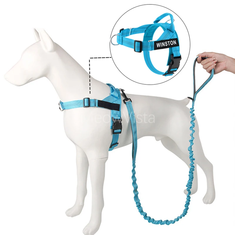 Custom Name No Pull Dog Harness Elastic Buffer Leash Set Adjustable Reflective Nylon Walking Lead for Small Medium Large Dogs