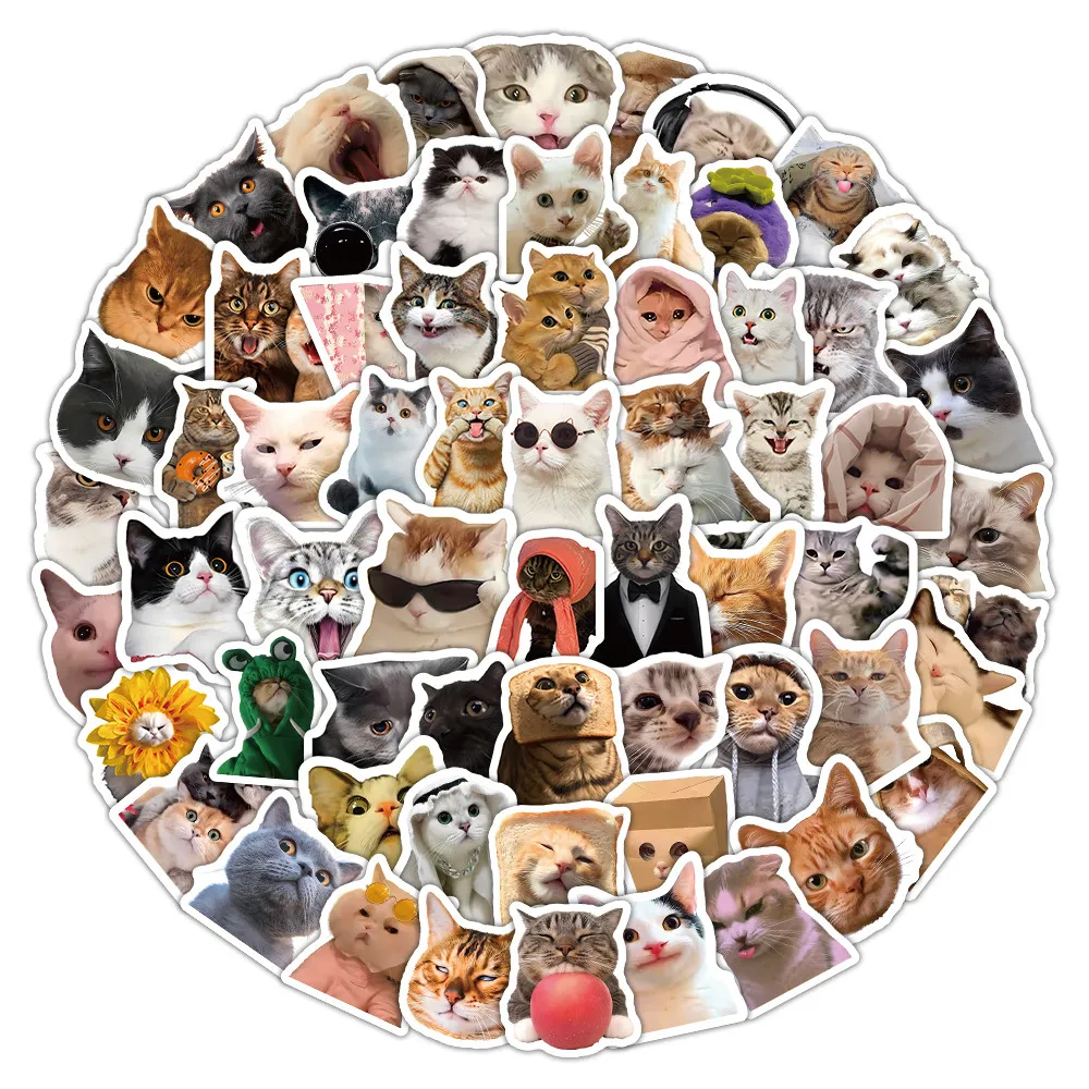 

104PCS Cute and Funny Realistic Cats Meme Graffiti Stickers For Luggage Phone Case Laptop Notebook Decal Sticker Story Store