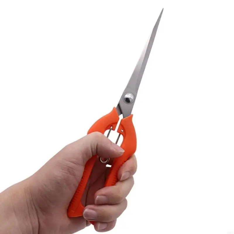   Stainless Miniature Tip Garden Shears Scissors Comfortable For Flowers Bonsais