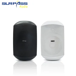 Home Theater Waterproof IP66 Wall Mount Speaker 8ohm 20W Passive Powerful Stereo Loudspeaker High Quality Outdoor Garage