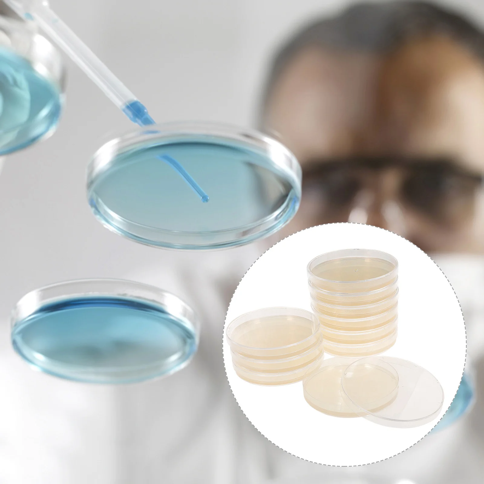 10pcs Nutrient Agar Plates Prepoured Petri Dishes For Science Experiments Laboratory Culture Storage Tissue Research Tools