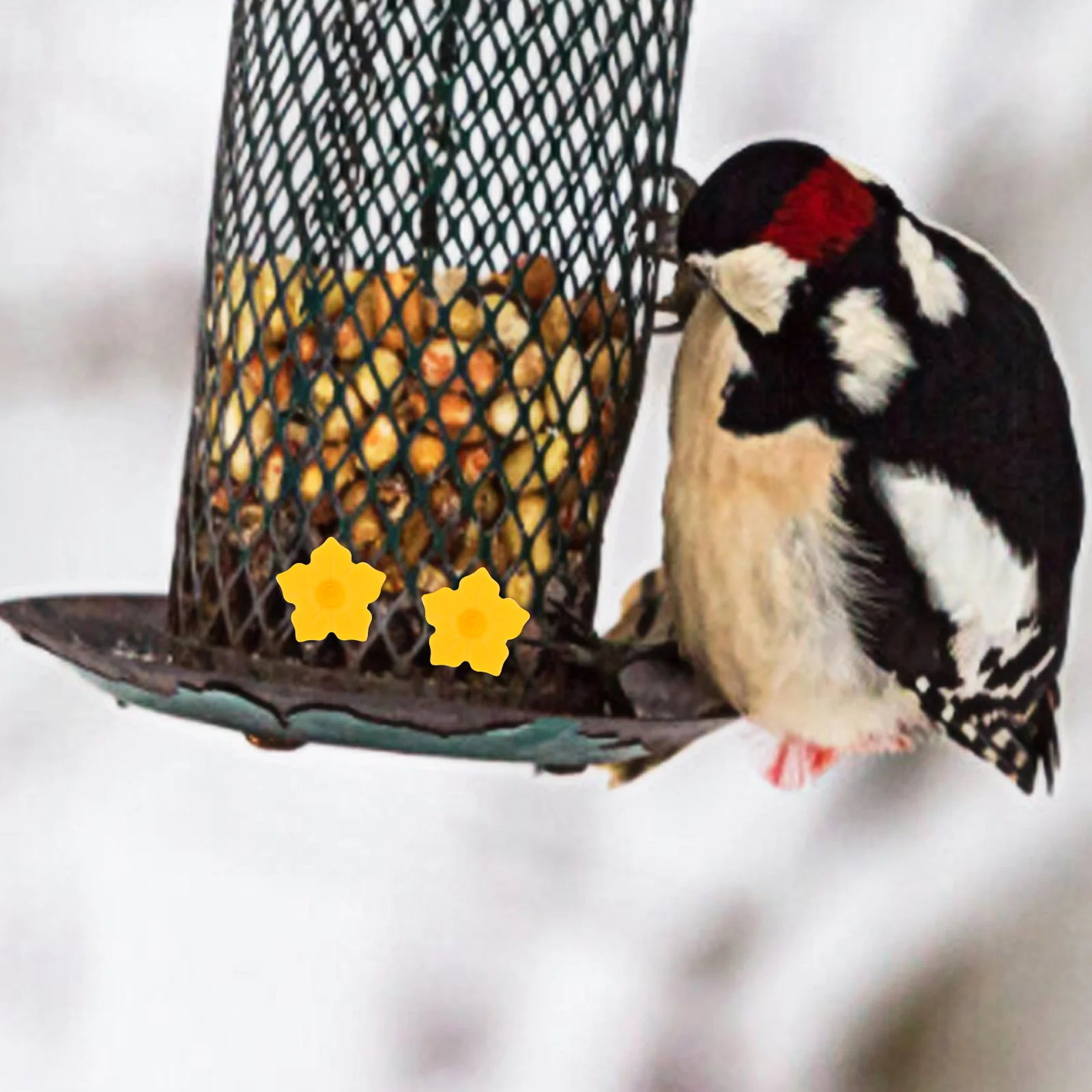 

10Pcs Hummingbird Feeder Replacement Flowers Bright Plastic Decorative Flower Shape Outdoor Bird Feeding Tool Accessories