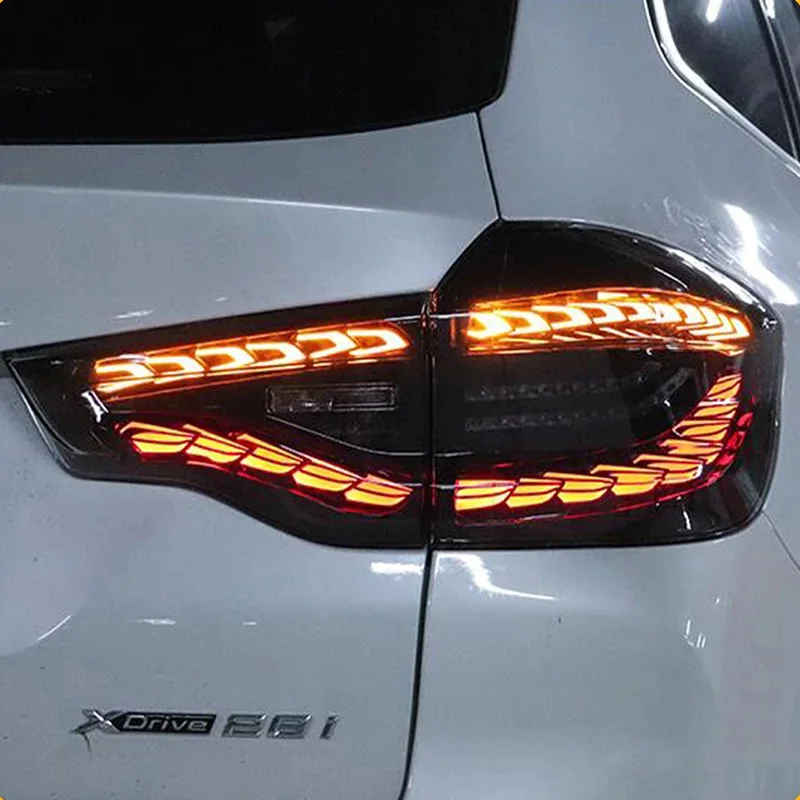 Car Taillight Assembly For BMW X3 G08 G01 2018-2021 Upgrade Dragon Scale Style Auto LED Back Lamp Accessories Tool Plug and Play