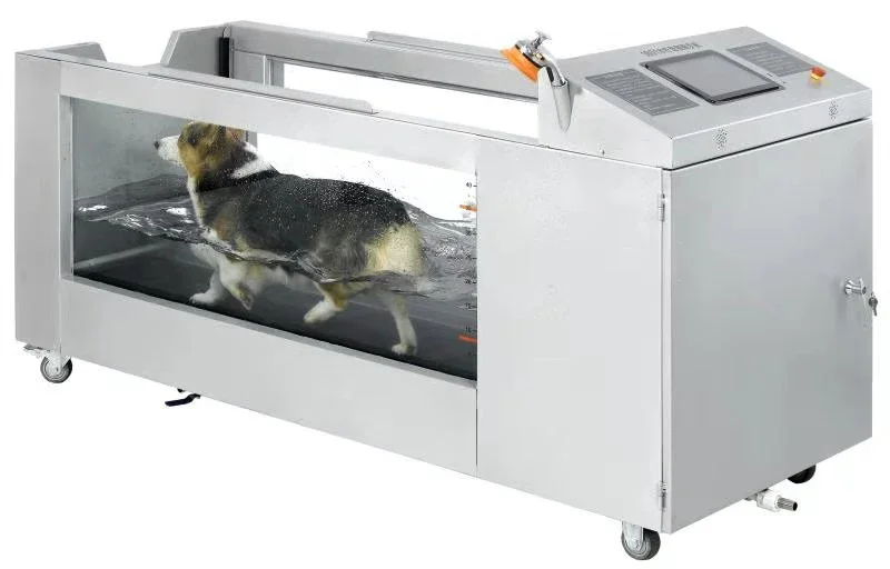 Electrical Pet Hydrotherapy Underwater Treadmill for Dogs Treadmill