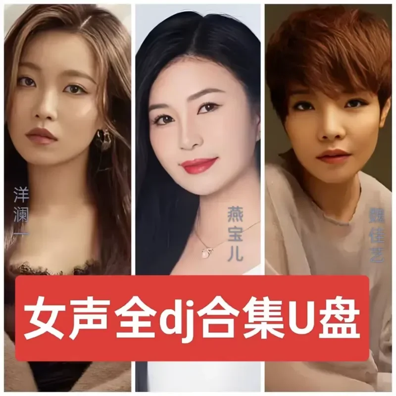 Yanglan Yiyan Baoer Wei Jiayi Full DJ Selection Car U Disk MP3 Lossless High Quality Song Audio Universal