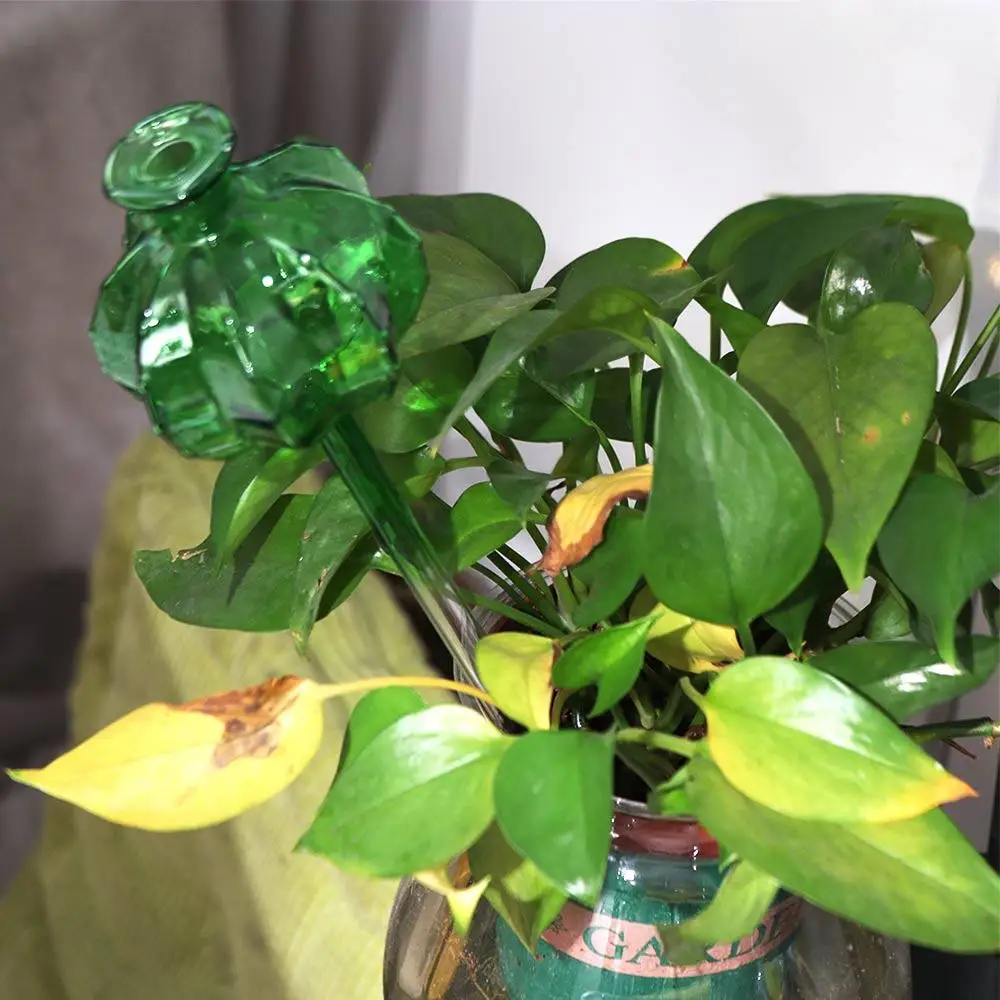 

Cactus Cactus Self Watering Planter Glass Automatic Automatic Plant Watering Bulbs Cute Plant Water Feeder Glass Bulbs