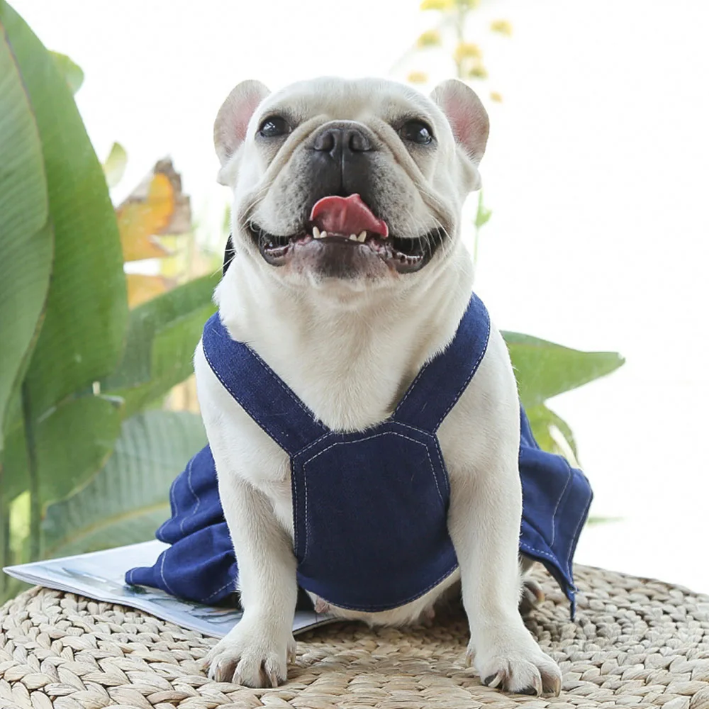 dress blues for dogs Dog Navy Blue Dress for Small Medium Dogs
