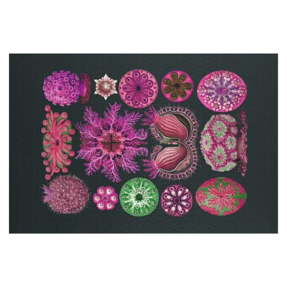 Ernst Haeckel Ascidiae Sea Squirts Magenta Jigsaw Puzzle Personalized Photo Gift Custom Child Gift Puzzle