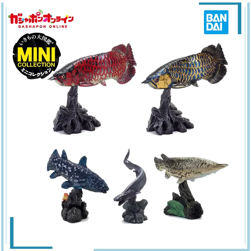 

BANDAI Arapaima gigas Gashapon Simulate marine life capsule toys MINI for Display Anime Figure Collect Model in Stock Original