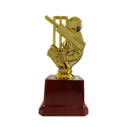 Trophée de cricket avec base en plastique, produits en métal, souvenir, prix de la compétition, prix individuels, cadeaux simples GT