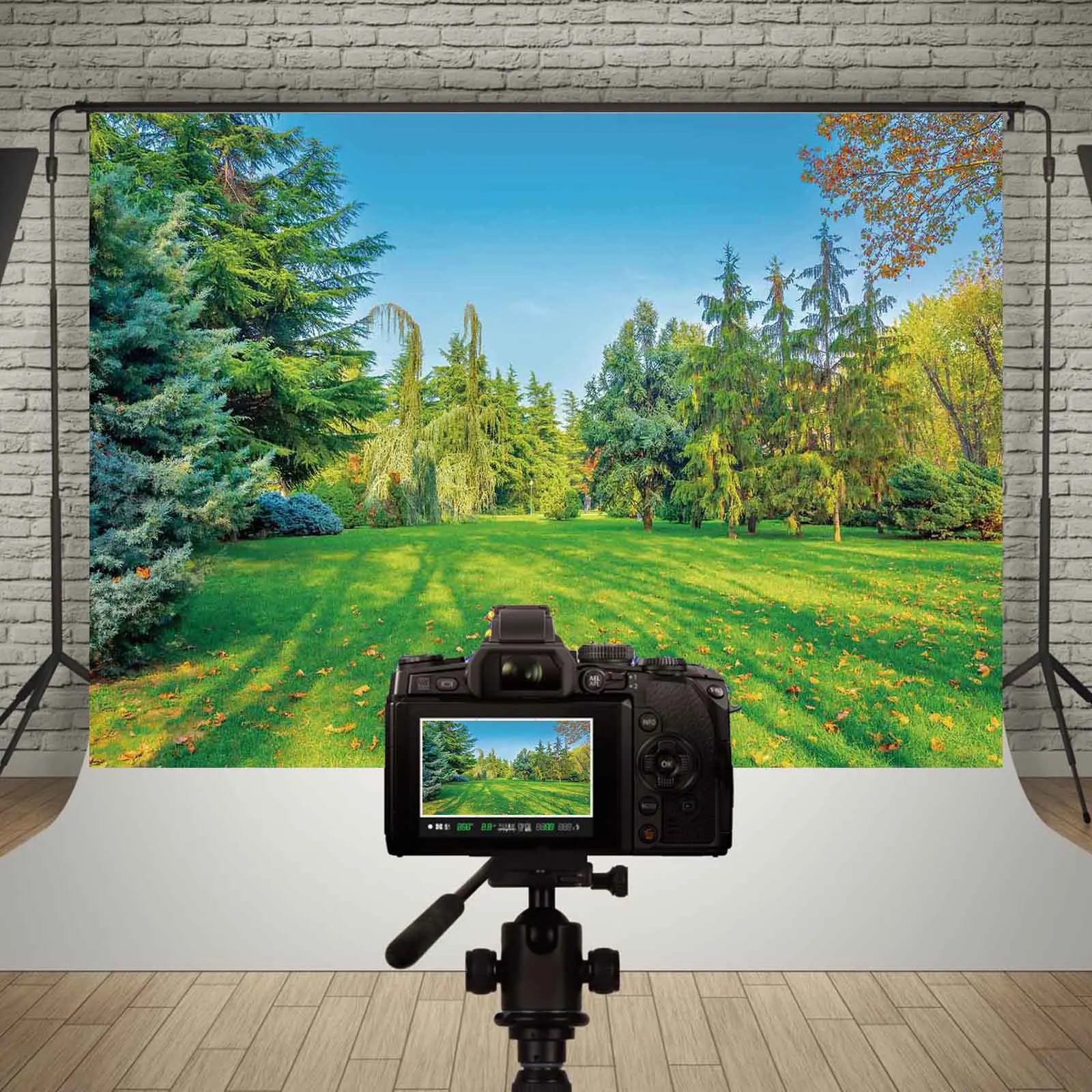 Природа, зеленый лес, трава, фон для фотосъемки, весна-лето, парк, пейзаж, домашний сад, вечерние украшения, фотофон SL-01