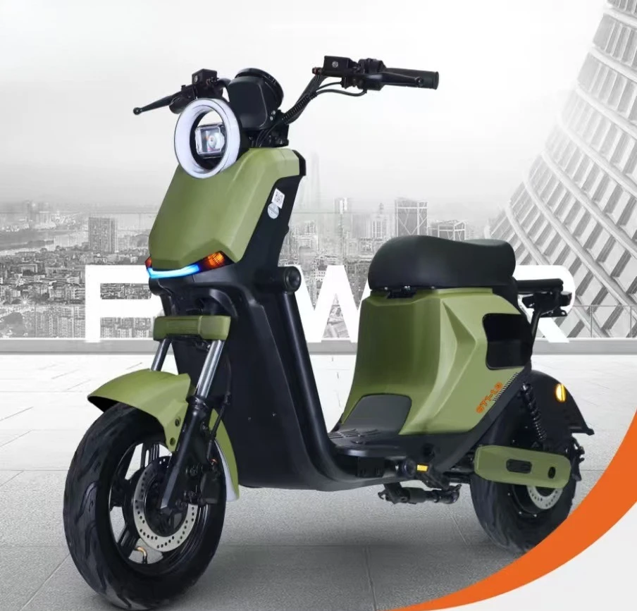 1000W Electric Motorcycle for Adults, 48V/60V E-Bike with Removable Battery, Dual Disc Brakes, 60-80KM Range