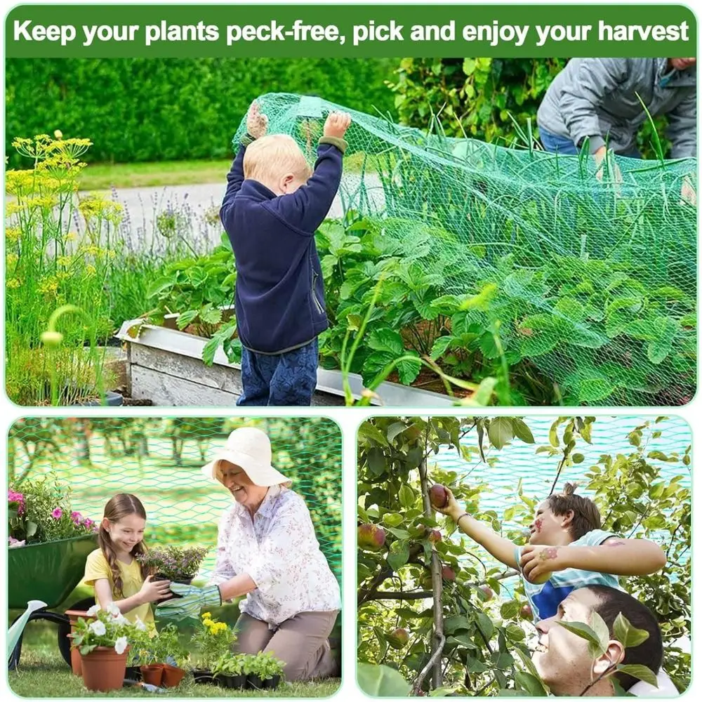 Picture 3: Protect Plants and Fruit Bird Protection Net Green Best Stretch Fence Anti Bird Netting Reusable Pest Control Supplies Fine Mesh