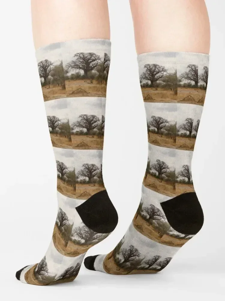 Africa, Tanzania, trees, baobab, baobab, photography, BebiCervin Socks Men's Rugby winter thermal hiking Socks Ladies Men's